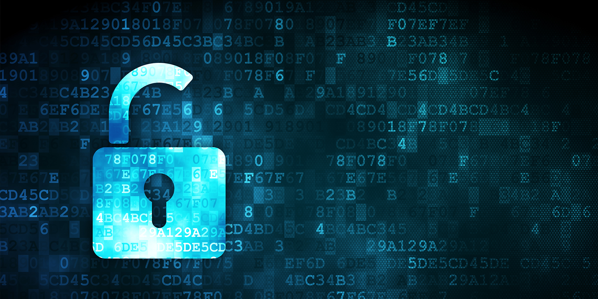 Header Privacy Statement